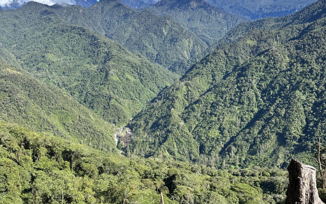Papuan Jungle Expedition